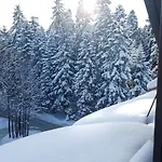 Pinepino Borovets, Gardens A60