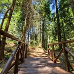Pinepino Borovets, Gardens A60 Μπόροβετς
