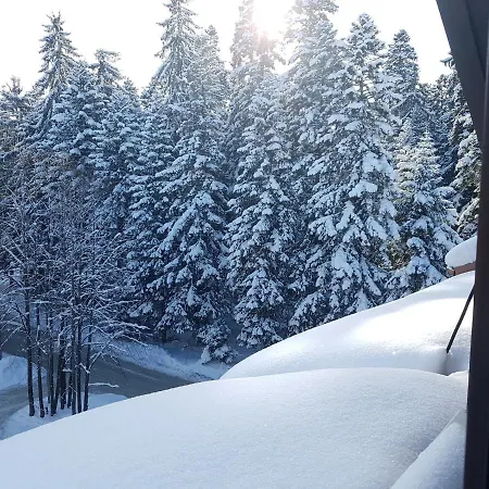 Pinepino Borovets, Gardens A60