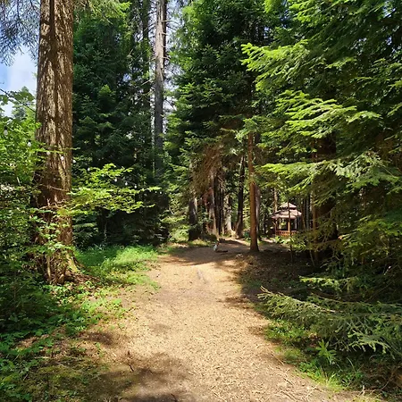 Pinepino Borovets, Gardens A60 בורובץ