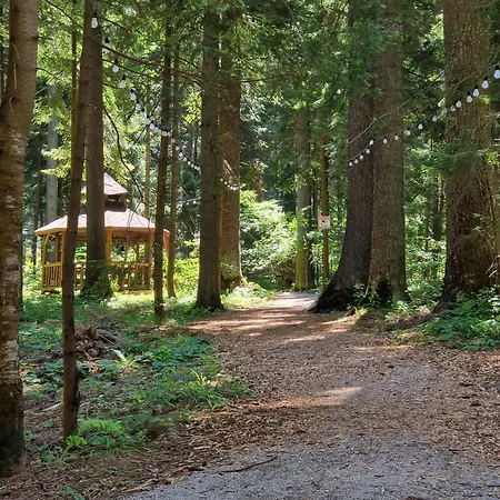 شقة Pinepino Borovets, Gardens A60 بوروفتس