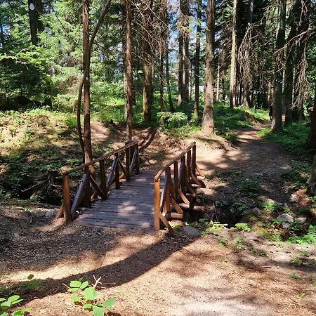 דירה Pinepino Borovets, Gardens A60 3*