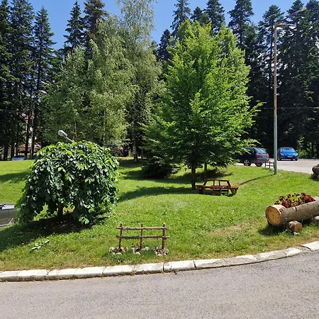 Pinepino Borovets, Gardens A60 דירה
