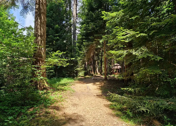 Pinepino Borovets, Gardens A60 Borowec
