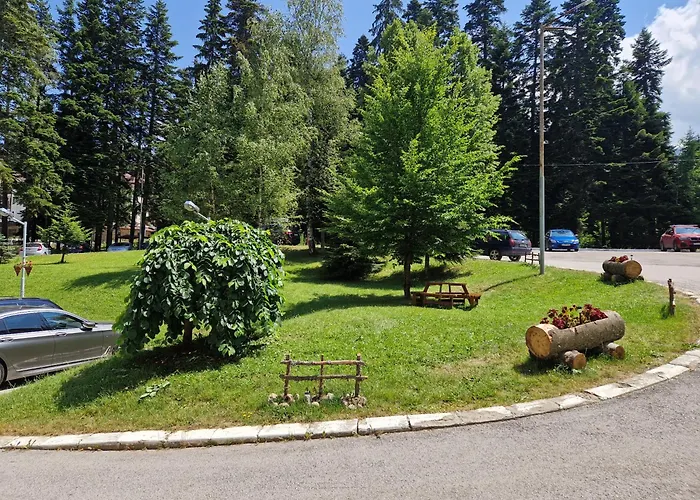 Pinepino Borovets, Gardens A60 Apartament